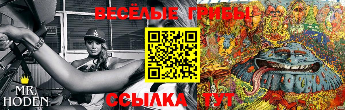 Сорочинск  где купить наркоту  Псилоцибиновые грибы Cubensis  Вход с VPN  Галлюциногенные грибы Cubensis 